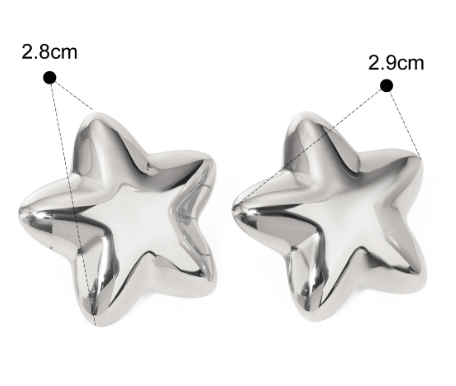 Stainless Steel Star Stud Earrings