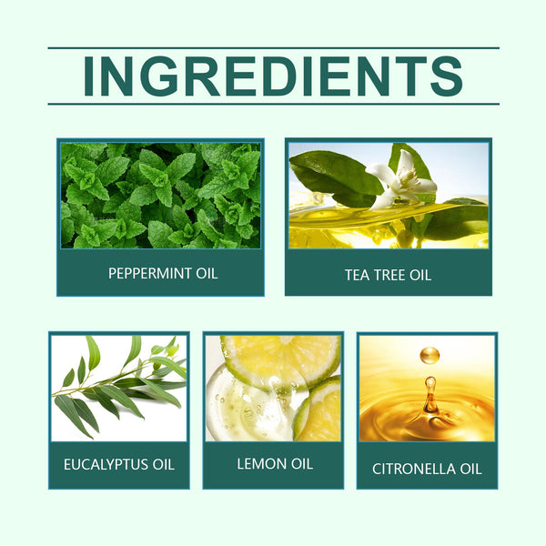 Shoes And Socks Deodorant Ball, Shoes And Socks Deodorant Fresh Deodorant Deodorant Air Freshener Lasting Fragrance Other Clothing & Shoe Care