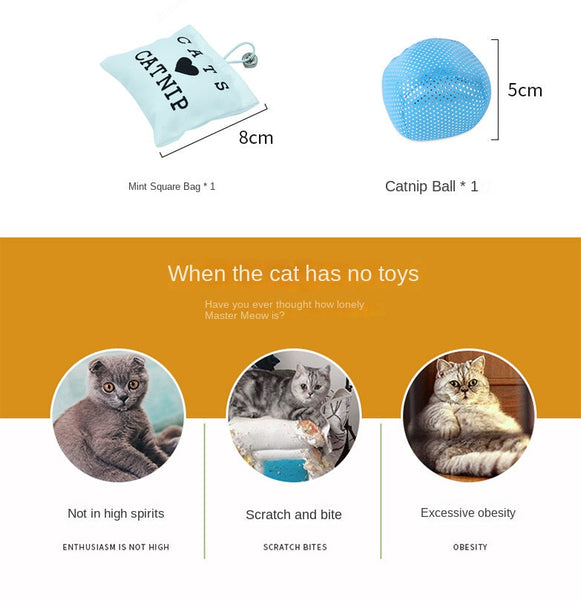 Pet Cat Toy Set Catnip Bag Rainbow Ball Colorful Mouse 24 Piece Cat Toys