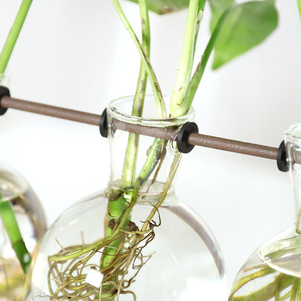 Plant Transparent Wooden Frame Vase Desktop Ornament Container Vases