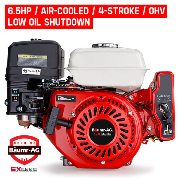 Baumr Ag 6.5Hp Petrol Engine Stationary Motor Ohv Horizontal Shaft Electric Start Recoil Multi Purpose Power Tool Engines