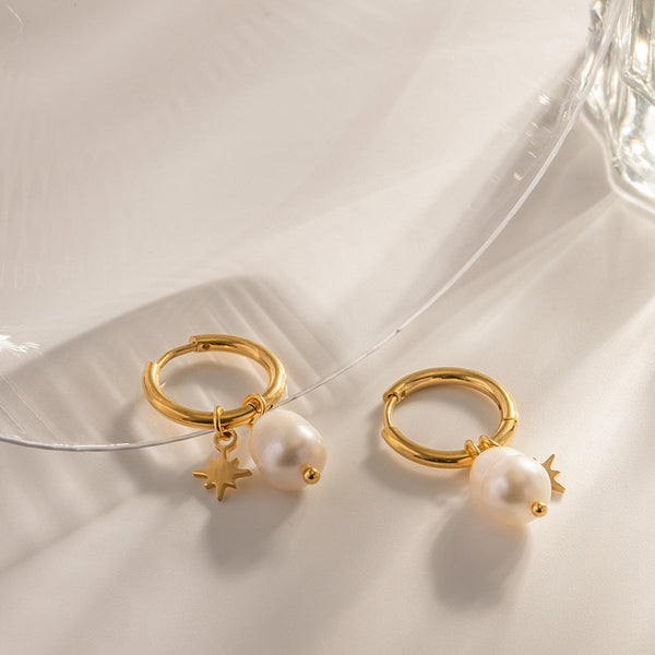 And American Star Pendant Stainless Steel Earrings Other Training & Obedience