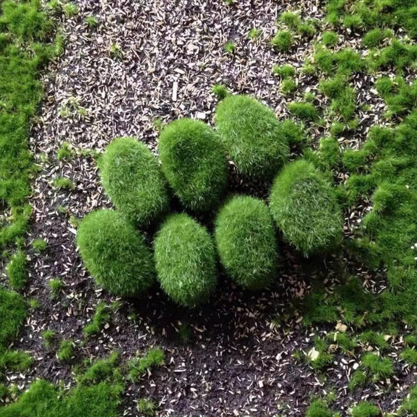 Mossy Stone Artificial Green Rock Flower Arrangement Material Artificial Plants