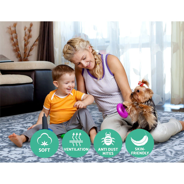 Artiss Rug 200X290cm Area Rug Large Carpet Soft Short Pile Modern Fafi Rugs