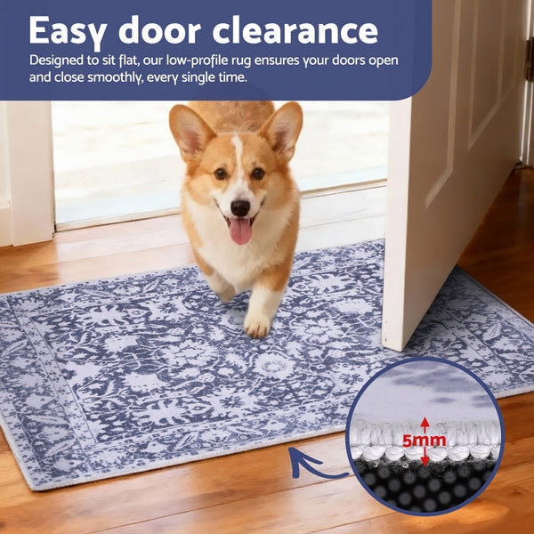 Artiss Floor Rug 50X80cm Doormat Soft Velvet Non Slip Bath Mat Small Rug Modern Rugs