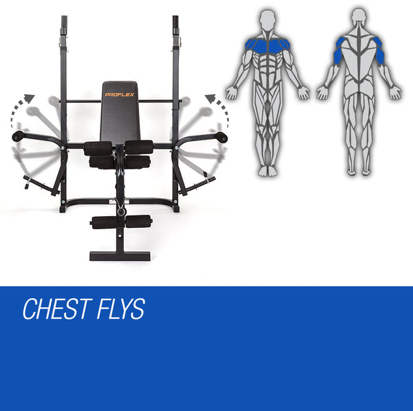 Proflex 7 In 1 Weight Bench Multi Station Home Gym B300 Home Gyms