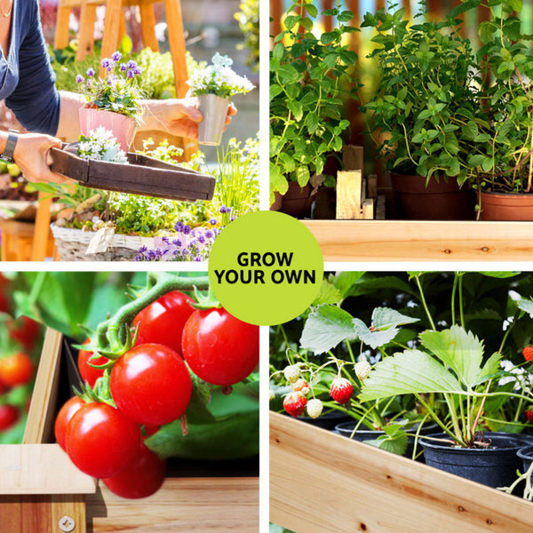 Green Fingers Raised Garden Bed 2X Elevated 120X60x80cm Wooden Planter Box Container Raised Garden Beds