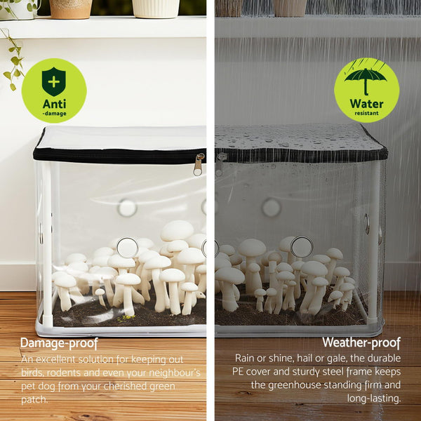 Green Fingers Mini Greenhouse 50X25x25cm Pvc Cover For Mushrooms Succulents Greenhouses