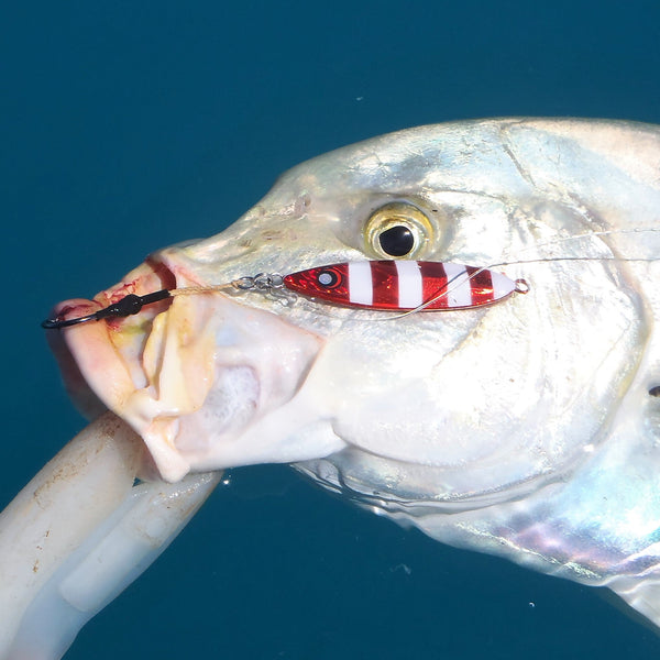 Finesse Slow Pitch Flutter Jig 60Gm Hot Pink Stripe 2 Pack Baits & Lures