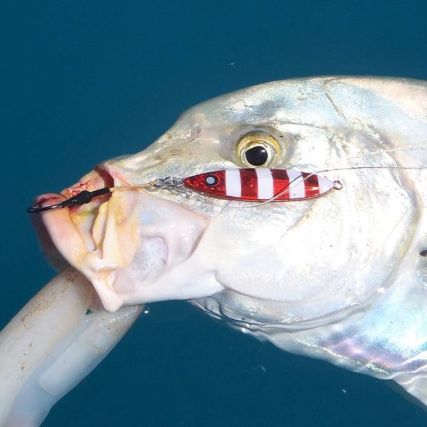 Finesse Slow Pitch Flutter Jig 60Gm Silver White 2 Pack Baits & Lures