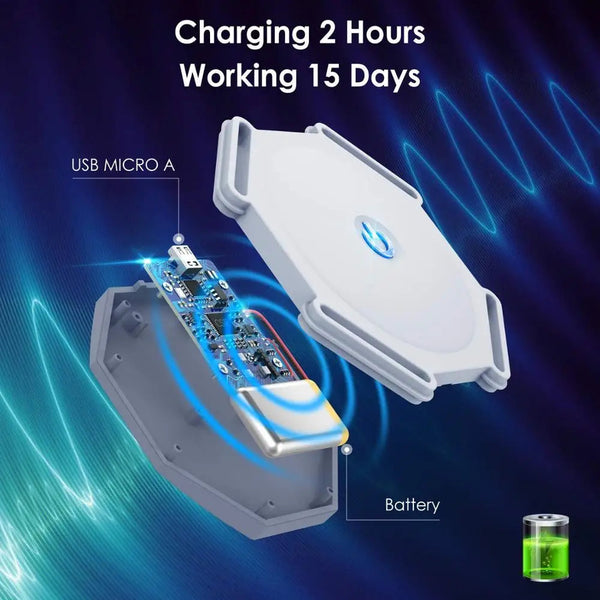 Smart Posture Corrector With Intelligent Sensor Vibration Reminder Adjustable Back Brace Support Trainer Seat & Posture Cushions