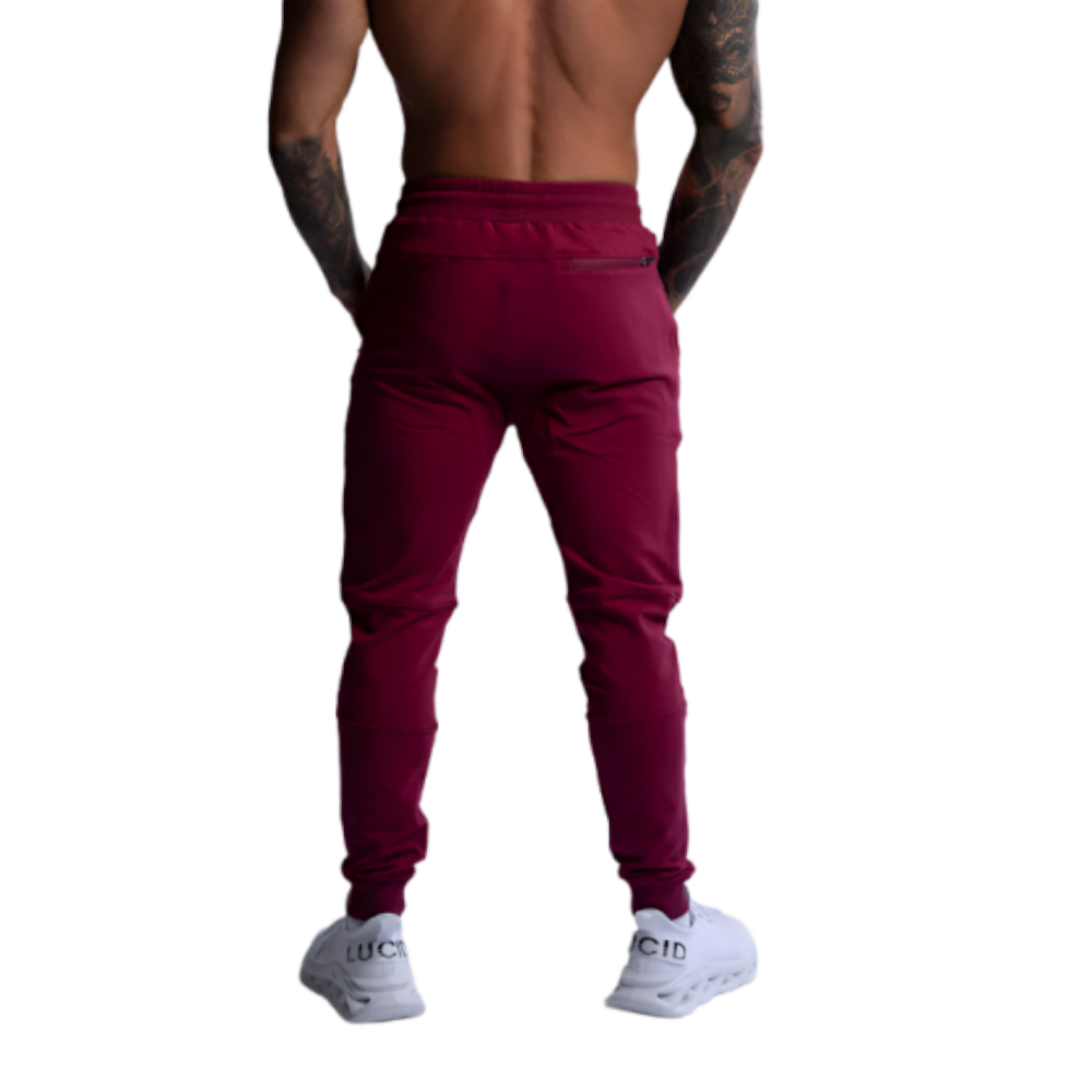 Hard Hitters Slim Fit Terry Joggers Burgundy Pants