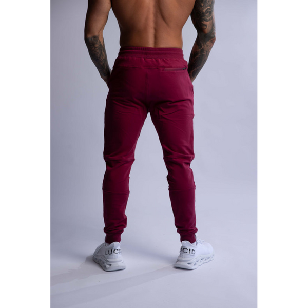 Hard Hitters Slim Fit Terry Joggers Burgundy Pants