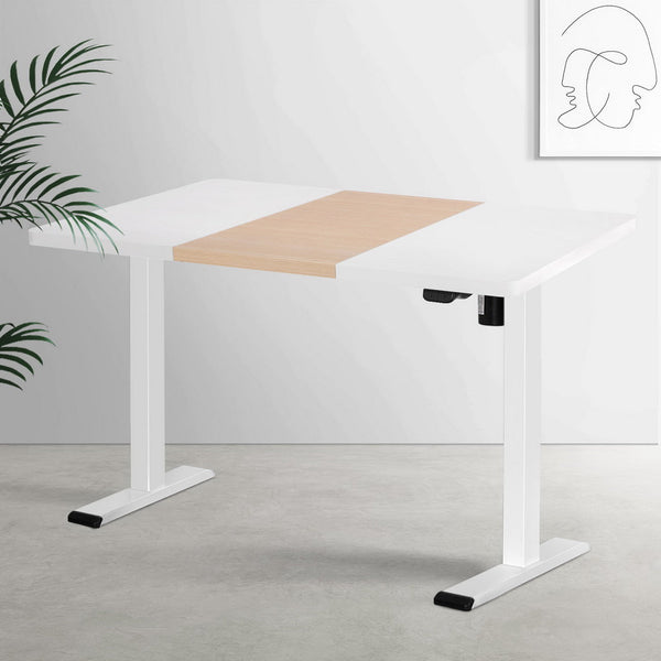Standing Desks Artiss Standing Desk Motorised Sit Desks 120Cm