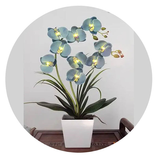 Led Battery Lighted Flower In Pot Orchid Blossom Phalaenopsis Holiday Wedding Home Decoration Gift Floral Décor