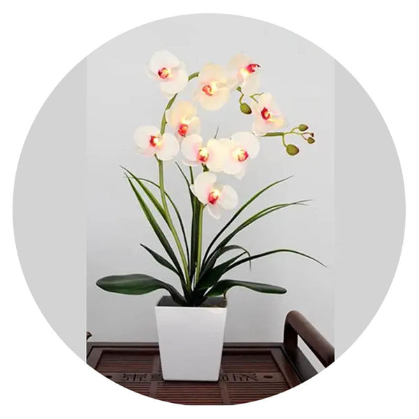 Led Battery Lighted Flower In Pot Orchid Blossom Phalaenopsis Holiday Wedding Home Decoration Gift Floral Décor
