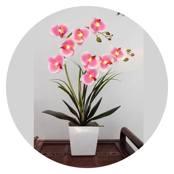 Led Battery Lighted Flower In Pot Orchid Blossom Phalaenopsis Holiday Wedding Home Decoration Gift Floral Décor