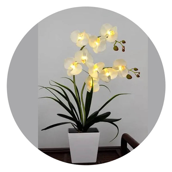 Led Battery Lighted Flower In Pot Orchid Blossom Phalaenopsis Holiday Wedding Home Decoration Gift Floral Décor