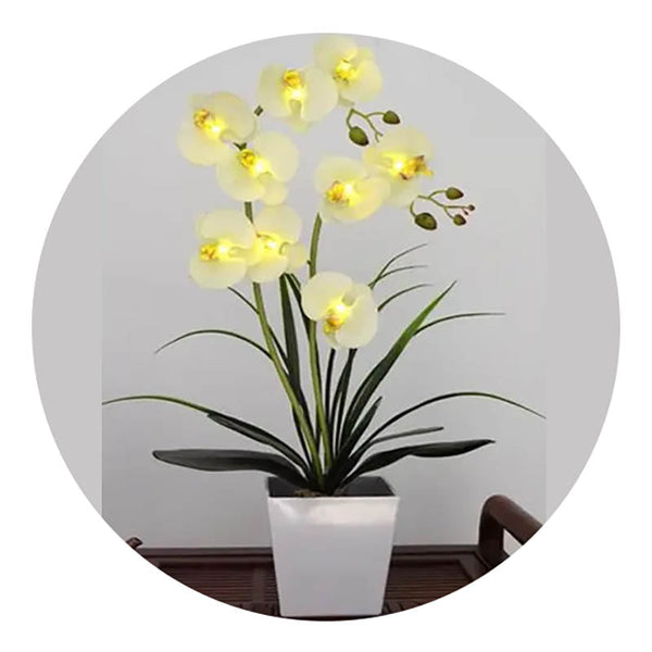 Led Battery Lighted Flower In Pot Orchid Blossom Phalaenopsis Holiday Wedding Home Decoration Gift Floral Décor