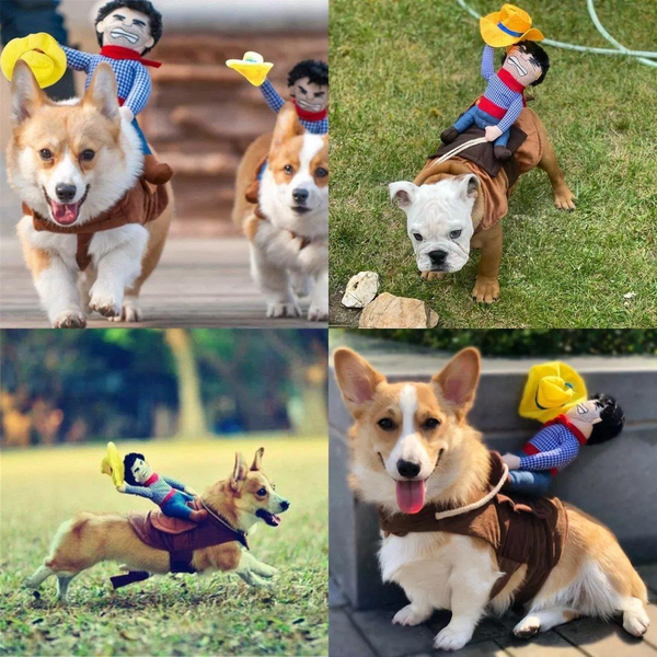 Halloween Dog Costume Pet Accessories Funny Dress Up For Small Medium Dogs Dog Clothing & Shoes