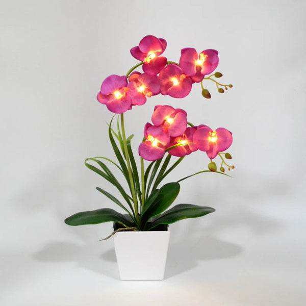 Led Battery Lighted Flower In Pot Orchid Blossom Phalaenopsis Holiday Wedding Home Decoration Gift Floral Décor