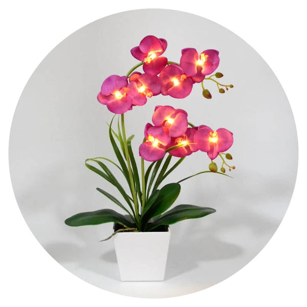 Led Battery Lighted Flower In Pot Orchid Blossom Phalaenopsis Holiday Wedding Home Decoration Gift Floral Décor