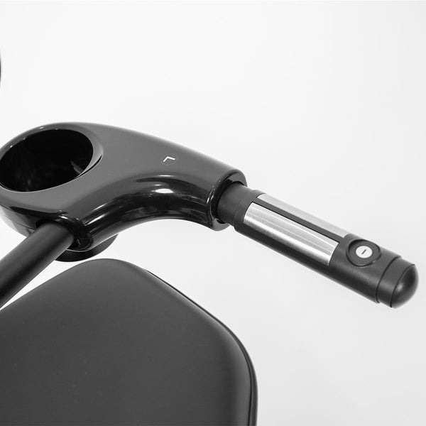 Lifespan Fitness Rbx 110 Commercial Recumbent Bike Exercise Bikes