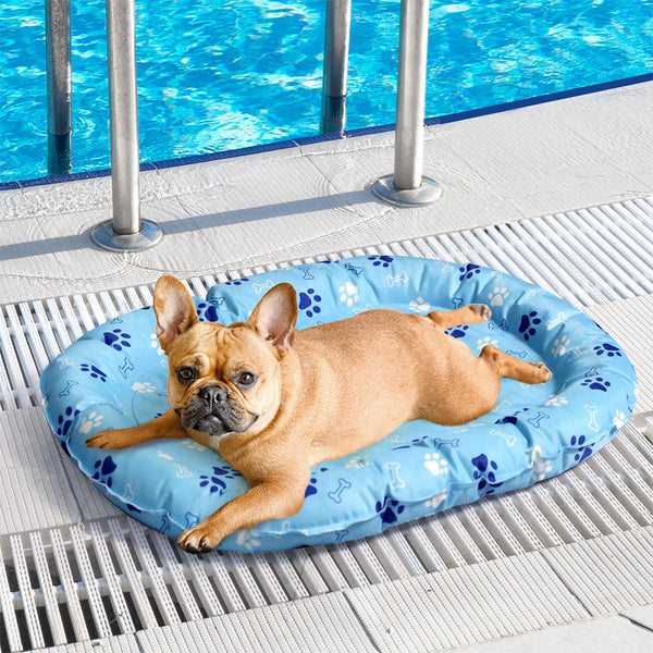 Pawz Pet Cooling Mat S Blue Pet Beds