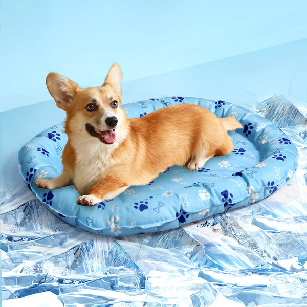Pawz Pet Cooling Mat Blue Pet Beds
