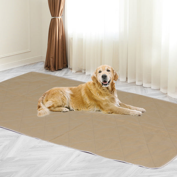 Pawz 2 Pcs 120X180 Cm Reusable Waterproof King Durable Protection For Furniture Or Outdoor Use Puppy Training Pads