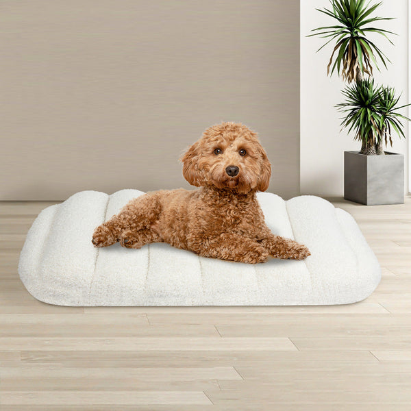 Pawz M Size Orthopedic Dog Bed With Sherpa Plush Removable Cover In White Pet Beds