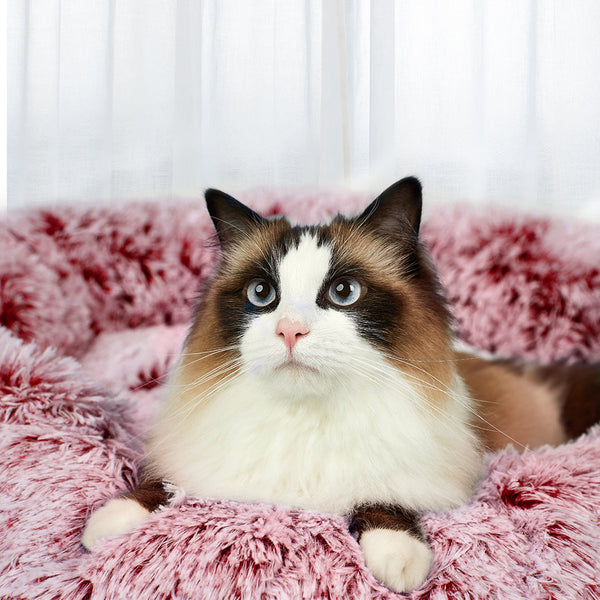 Pawz Pet Bed Memory Foam Dog Donut Pink Medium Pet Beds