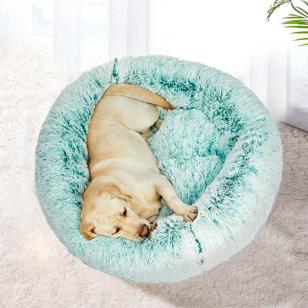 Pawz Replaceable Cover For Dog Calming Xl Teal Large Pet Beds