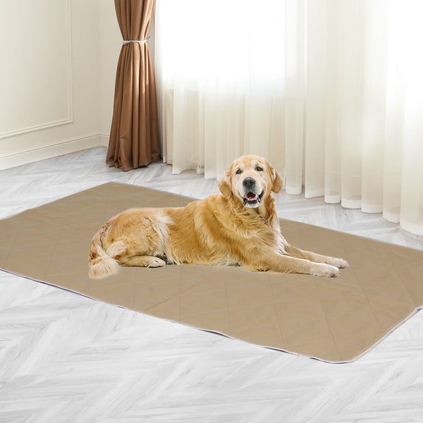 Pawz 2 Pcs 120X120 Cm Reusable Waterproof Jumbo Heavy Duty Protection For Large Areas Puppy Training Pads