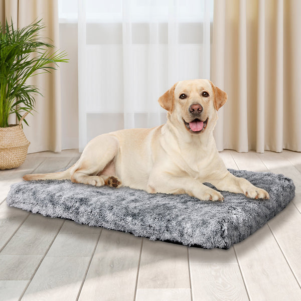 Pawz Dog Mat Pet Calming Bed Memory L Charcoal Large Pet Beds