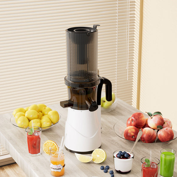 Spector Electric Cold Press Juicer Whole Fruit Juicers
