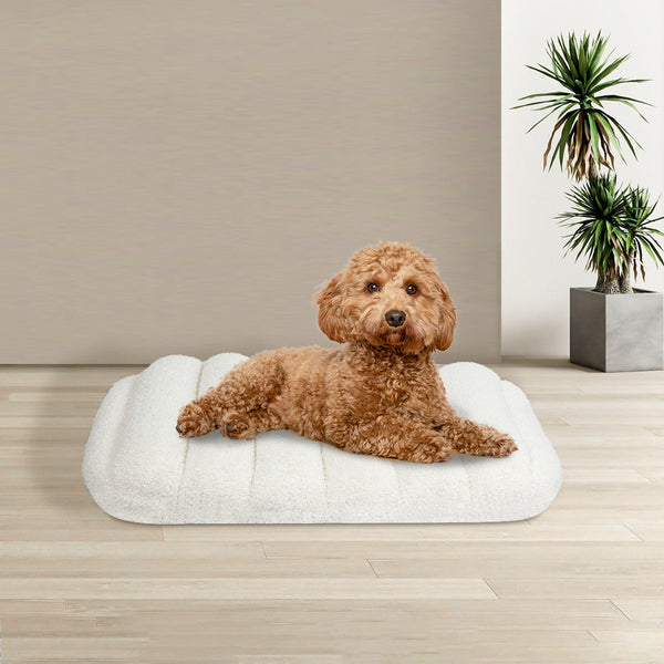 Pawz S Size Orthopedic Dog Bed With Sherpa Plush Removable Cover In White Pet Beds