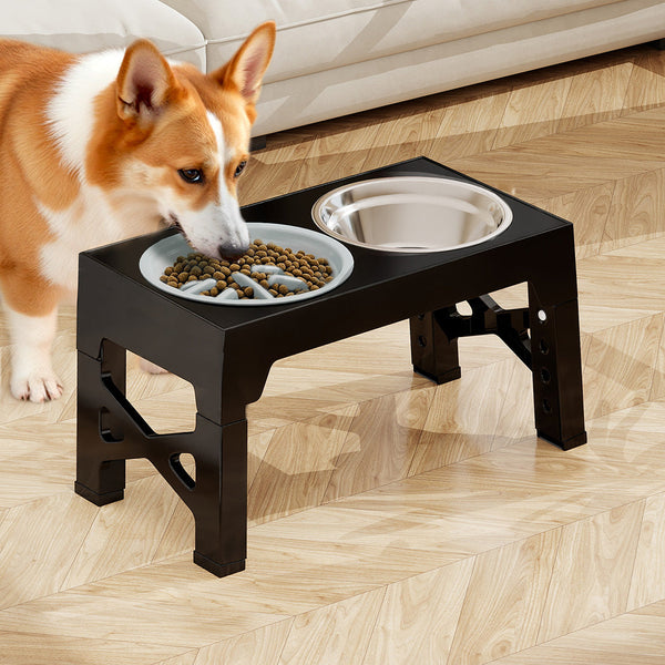 Pawz Elevated 2 Stainless Steel And 1 Slow Feeder Dog Bowls
