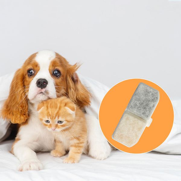 Pawz Pet Water Fountain Filter Dog Fountains