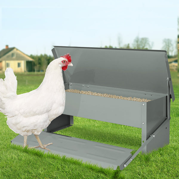 Pawz 5Kg Auto Automatic Chicken Feeder Efficient And Convenient Poultry Feeding System Backyard Poultry Feeders