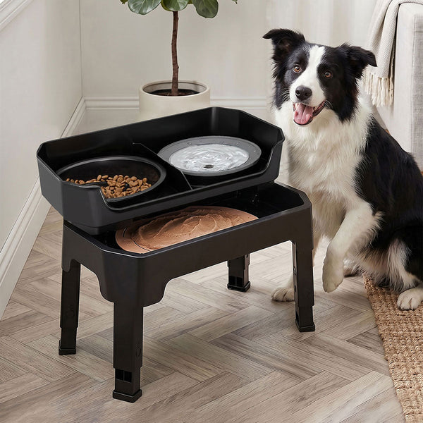Pawz Raised Set With Slow Feeder & Lick Mat Dog Bowls