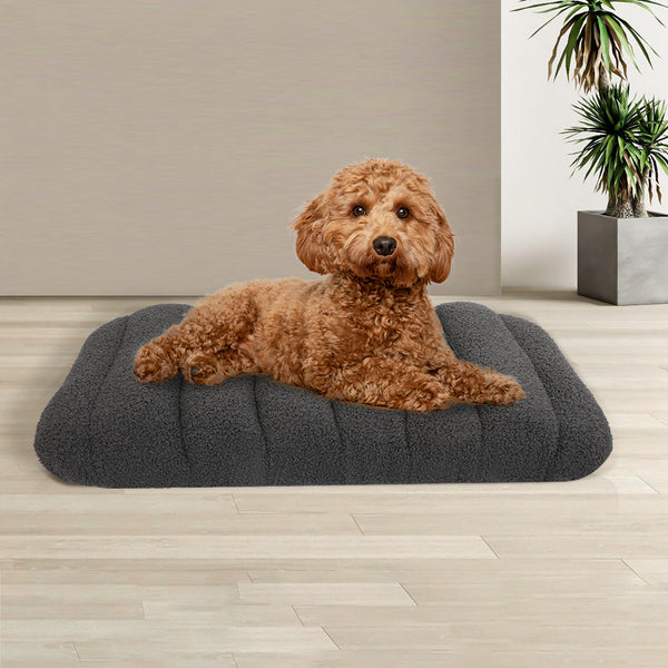 Pawz S Size Orthopedic Dog Bed With Sherpa Plush Removable Cover In Grey Pet Beds
