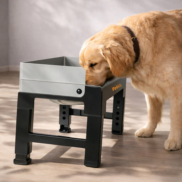 Pawz Height Elevated Feeder For Large Dogs Dog Bowls