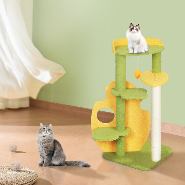 Pawz Cat Tree Kitten Furniture Condo Furniture & Scratchers