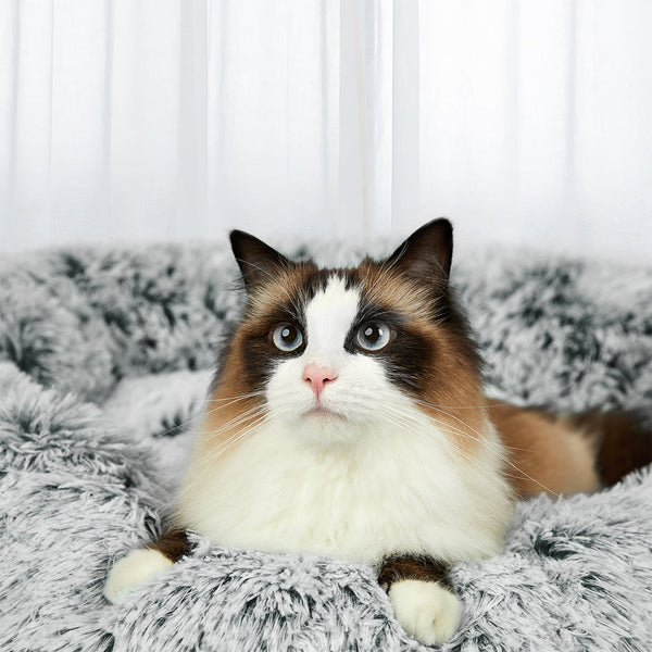 Pawz Pet Bed Memory Foam Dog Donut Charcoal X Large Pet Beds