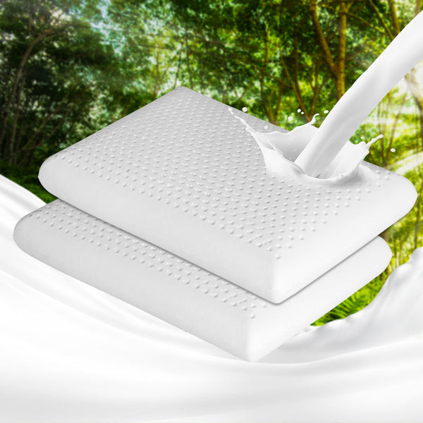 Dreamz 2X Natural Latex Pillow Removable Pillows