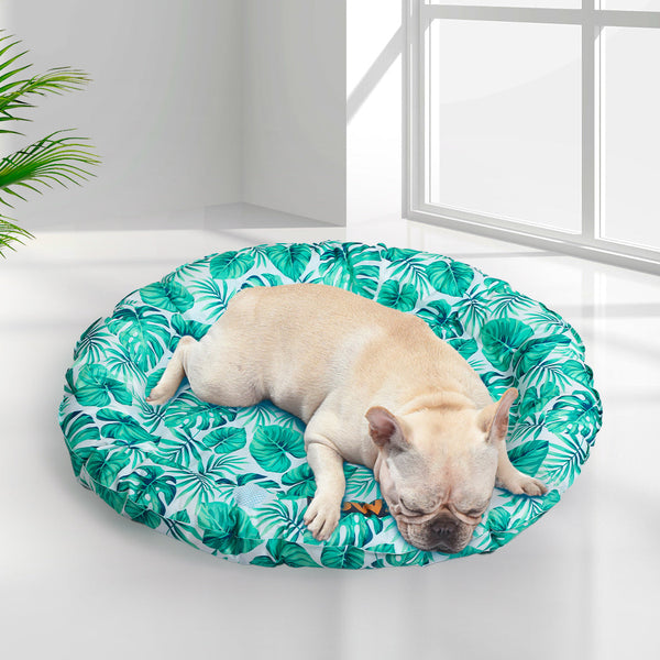 Pawz Pet Cool Gel Mat Cat Bed Dog Bolster Medium Pet Beds