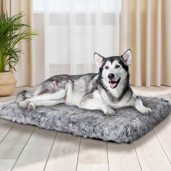 Pawz Dog Mat Pet Calming Bed Memory Xl Charcoal Large Pet Beds