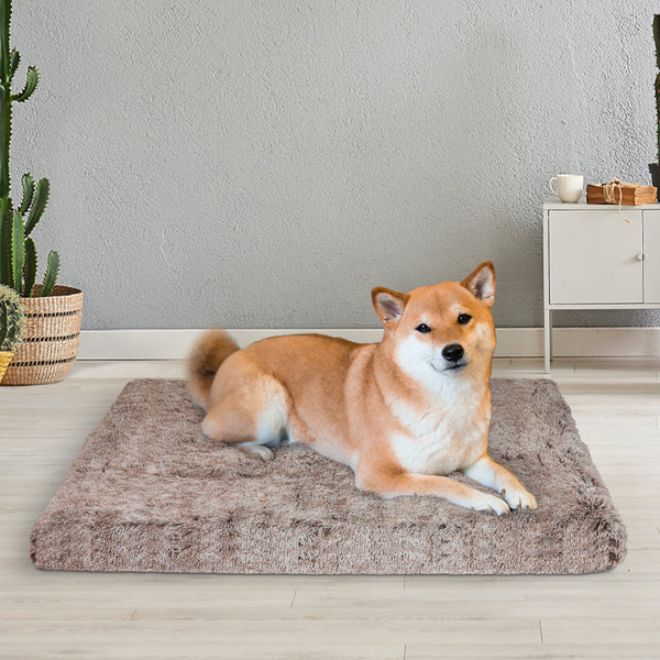 Pawz Dog Mat Pet Calming Bed Memory Coffee Medium Pet Beds