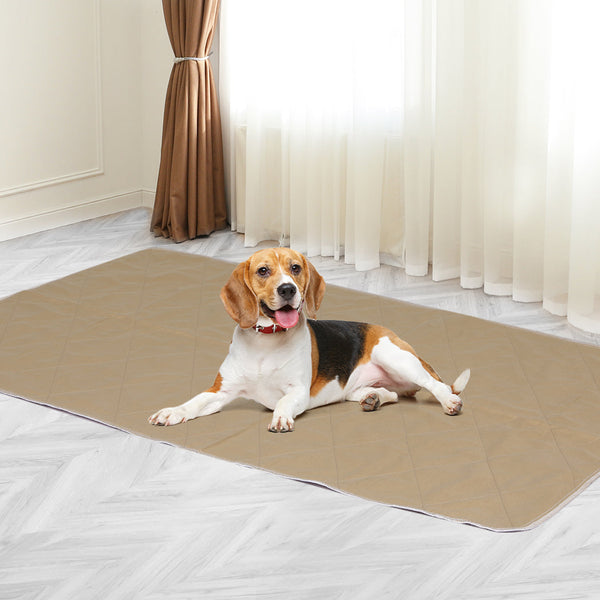 Pawz 2 Pcs 90X90 Cm Reusable Waterproof Xx Large Puppy Training Pads